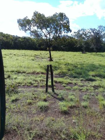 Fazenda 350,hectares beira do rio cuiaba - Foto 13