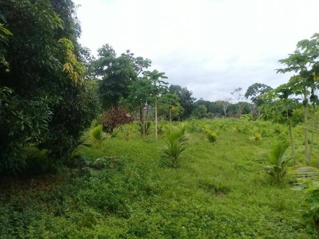 Colonia em sena madureira 30 mil - Foto 4