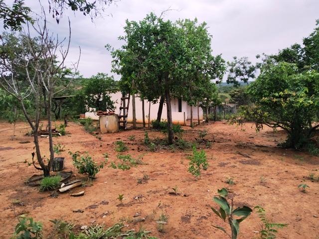 Elci Martins Vende Fazendinha em Três Marias, 50.000m2, água e luz - Foto 4
