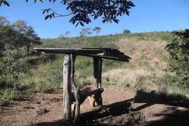Oportunidade 14.000 metros com água corrente - Foto 5