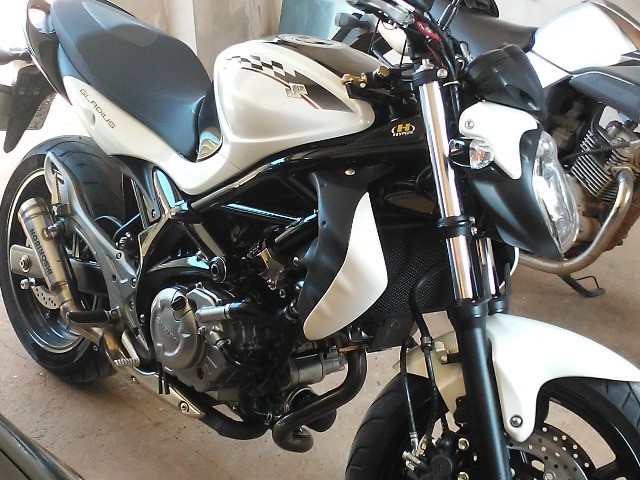 SUZUKI GLADIUS 650