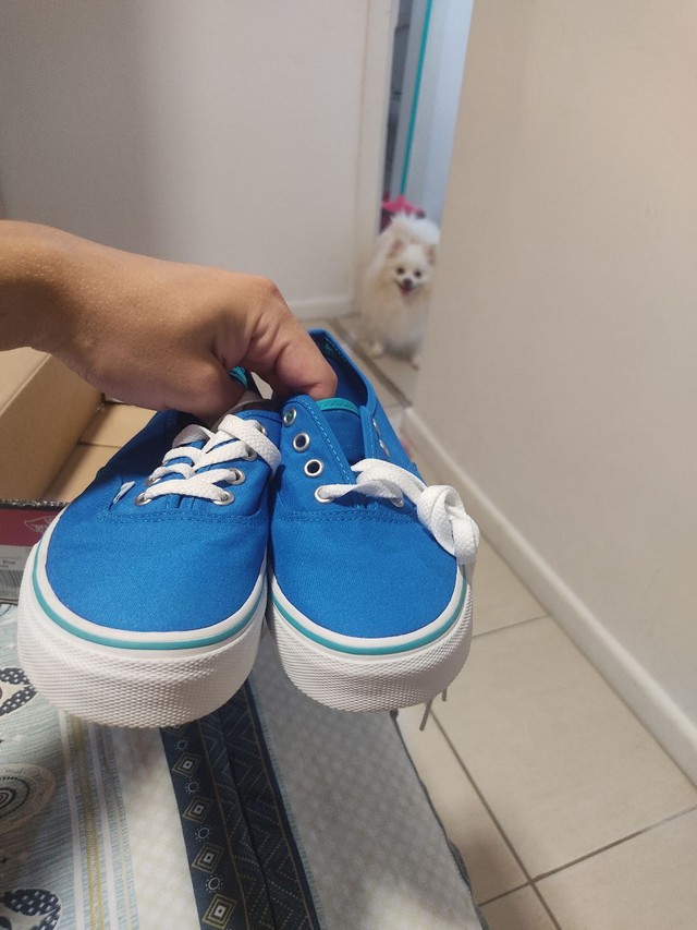 vans 36