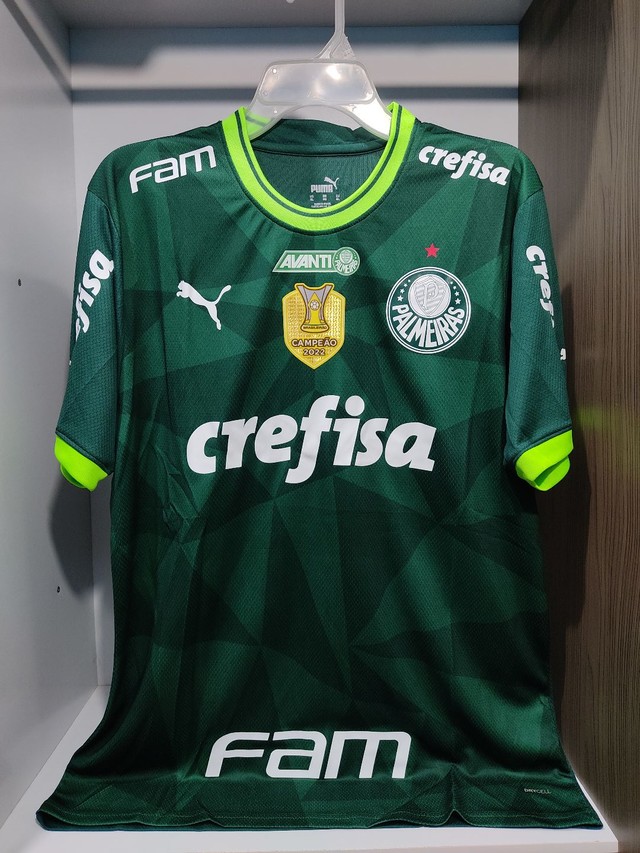 Camiseta Palmeiras Campeão Mundial Estilo Quebrada Premium em Promoção na  Americanas