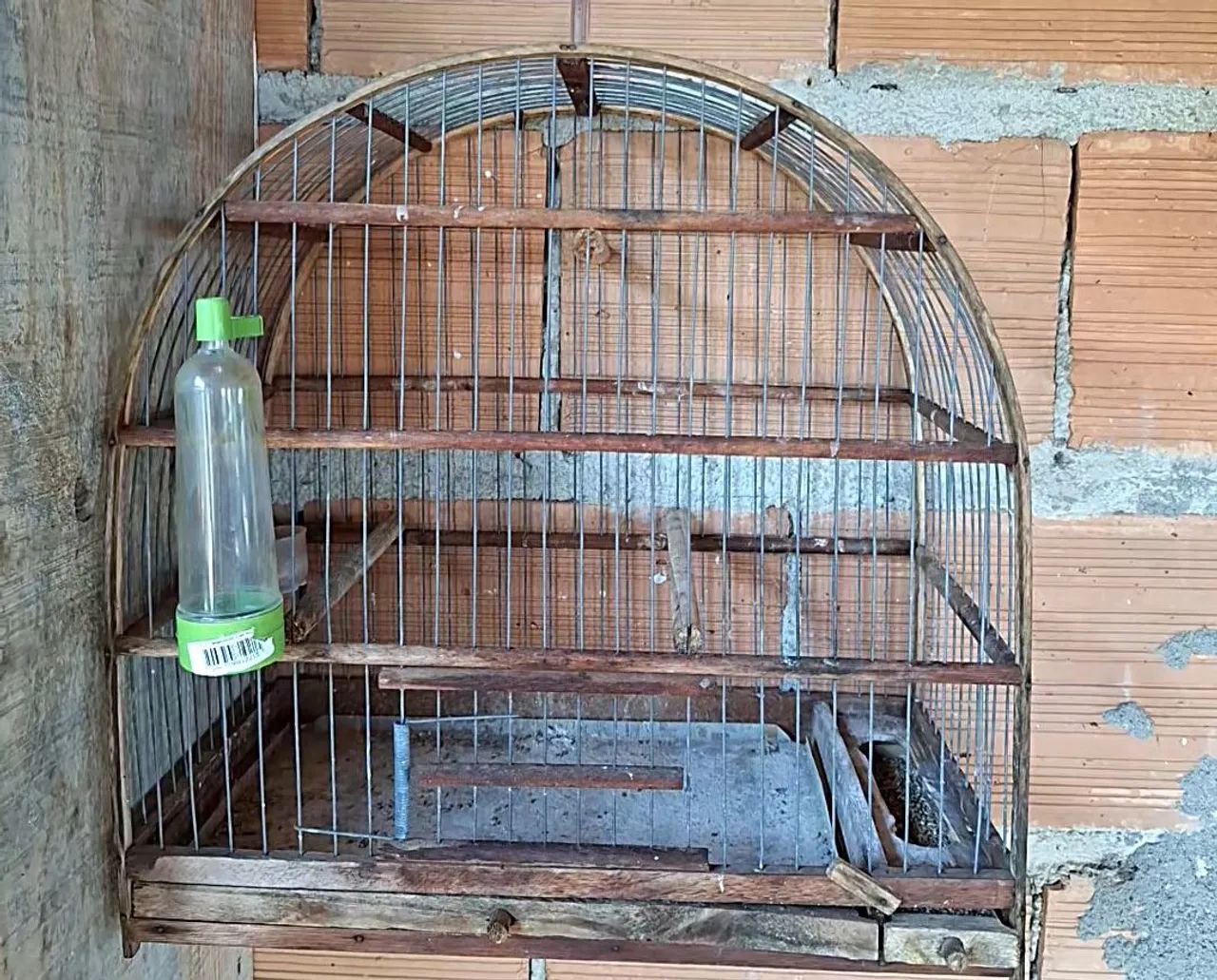 Gaiola tamanho grande