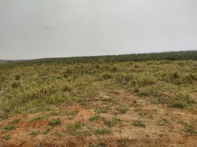 Sorocaba Região Sítio 15 Alqueires - Foto 4