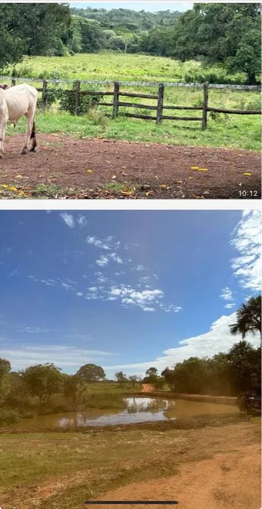 Fazenda com área para plantio - Foto 4