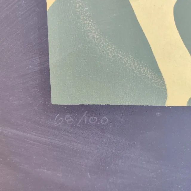 Quadro artista Valdir Sarubbi  - Foto 3