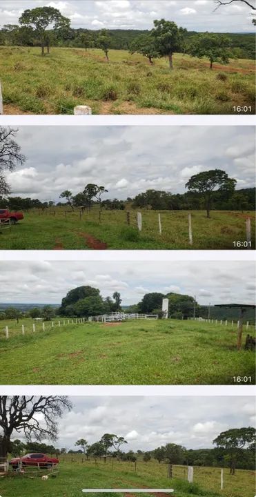 Fazenda campina verde dupla 