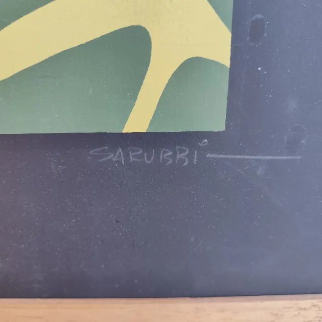 Quadro artista Valdir Sarubbi  - Foto 2