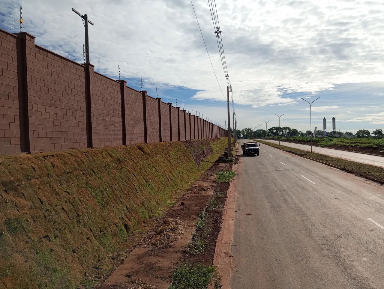 Gramas verdes - Foto 3