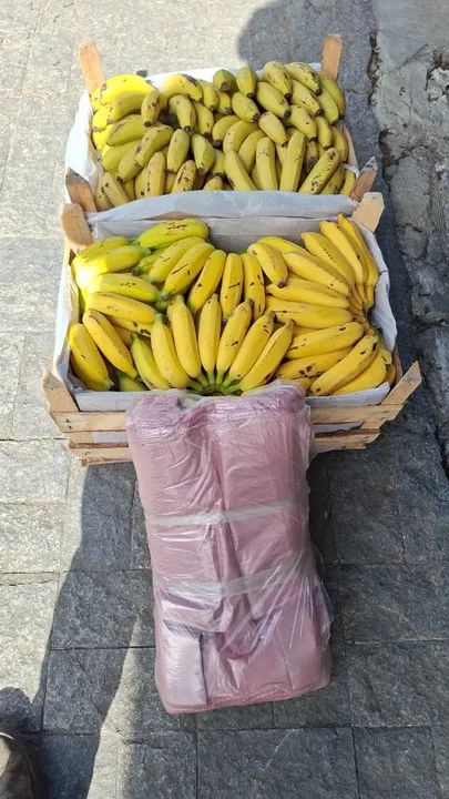 Banana Nanica e Prata - Foto 3