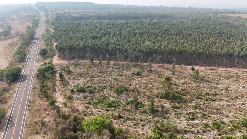 Chácara com 50 Hectares as Margens da Rodovia 080 Corguinho-MS! - Foto 5
