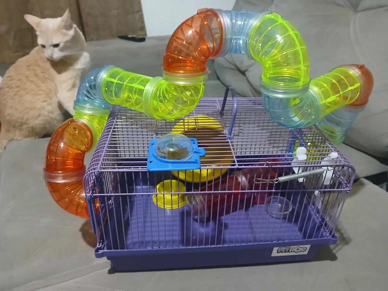 Gaiola para hamster com túneis e acessórios