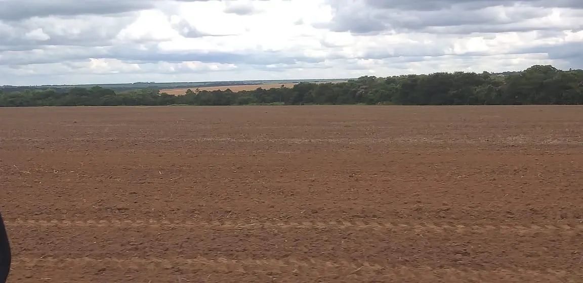 Fazenda de arrendamento 600hec em Canarana MT.