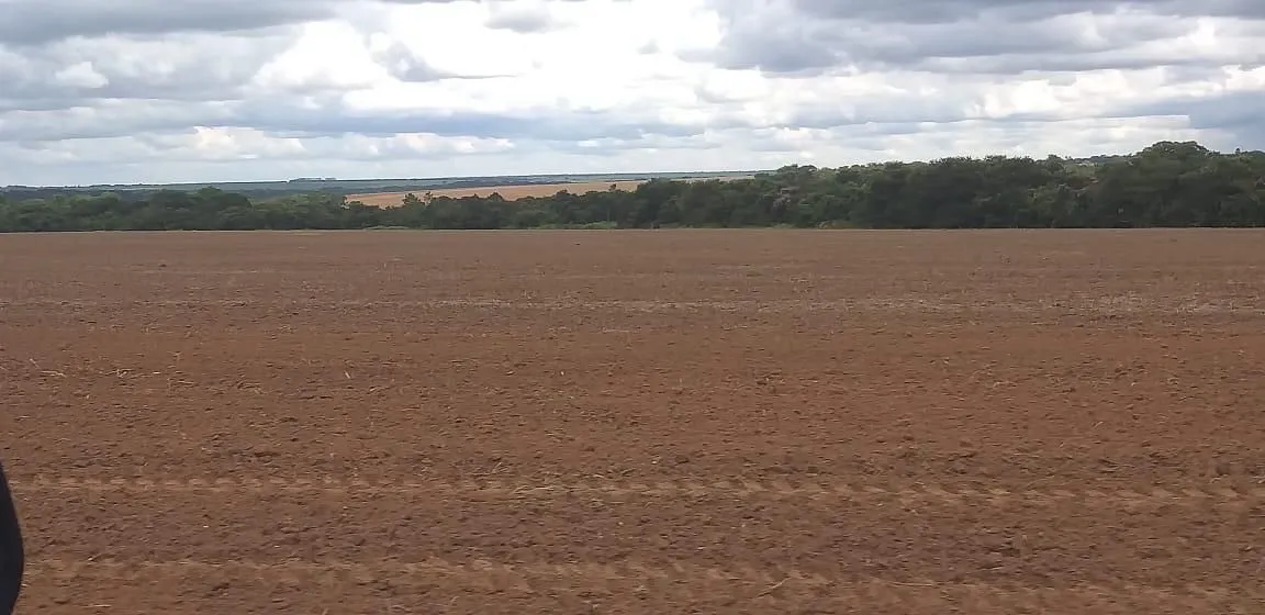Fazenda de arrendamento 600hec em Canarana MT.