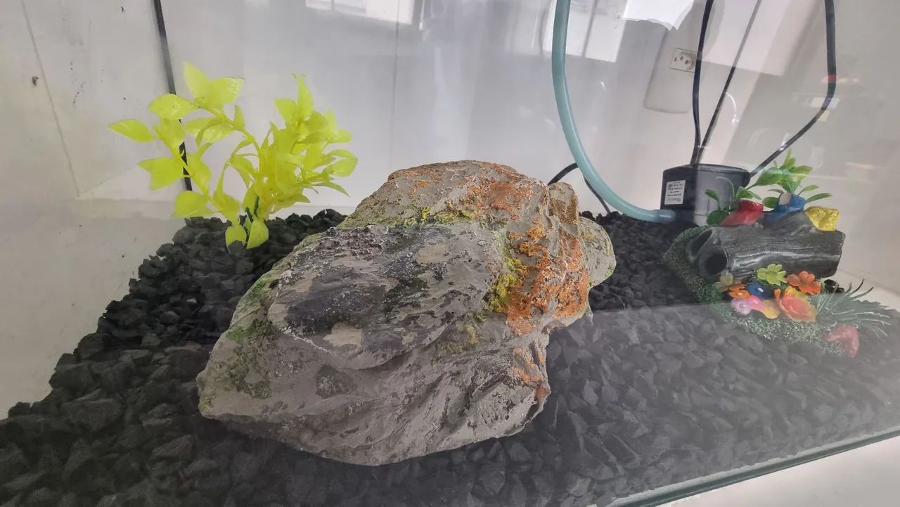 Vendo Aquário Completo 30lt - Foto 4