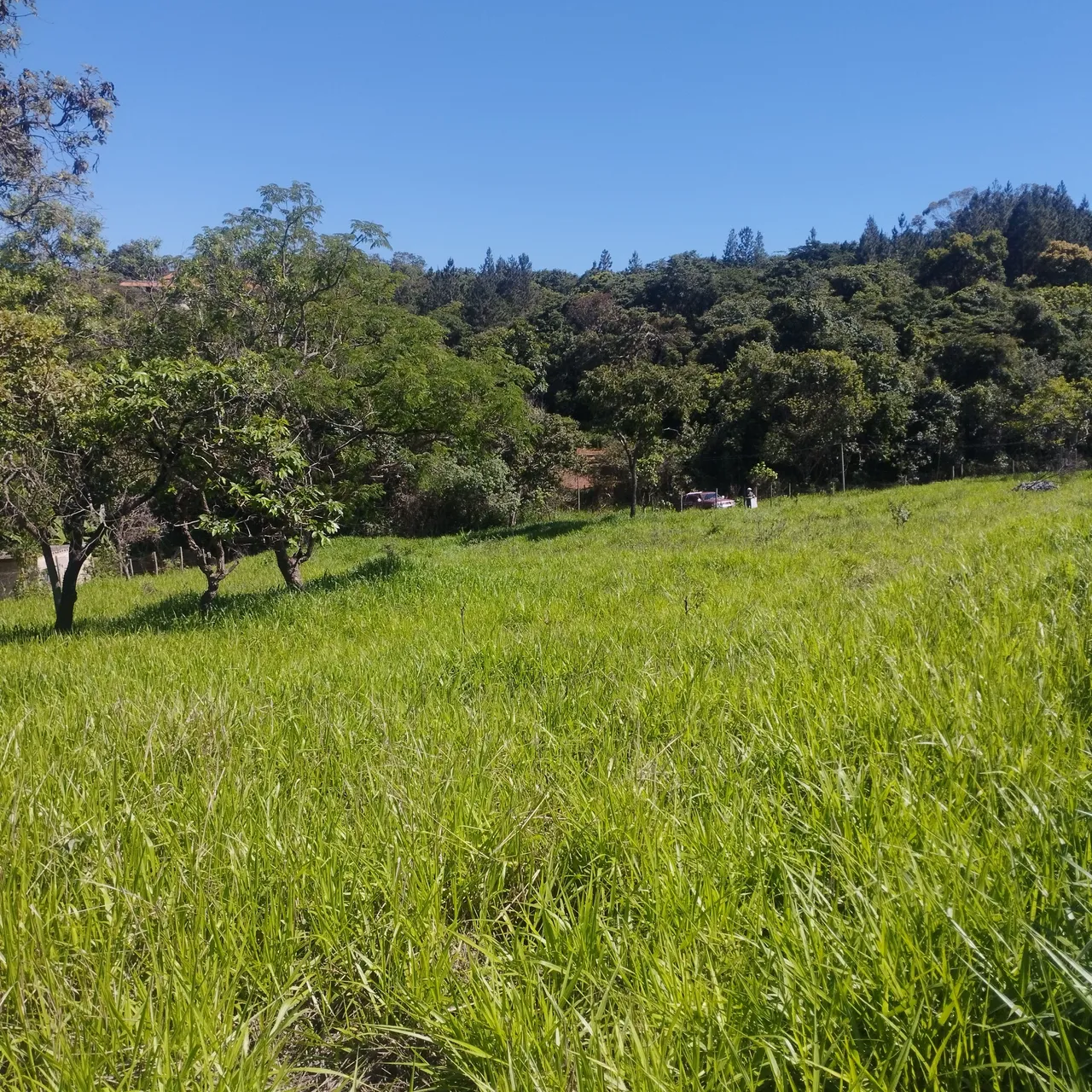 Lindo Terreno de 2.800m2 em Mateus Leme