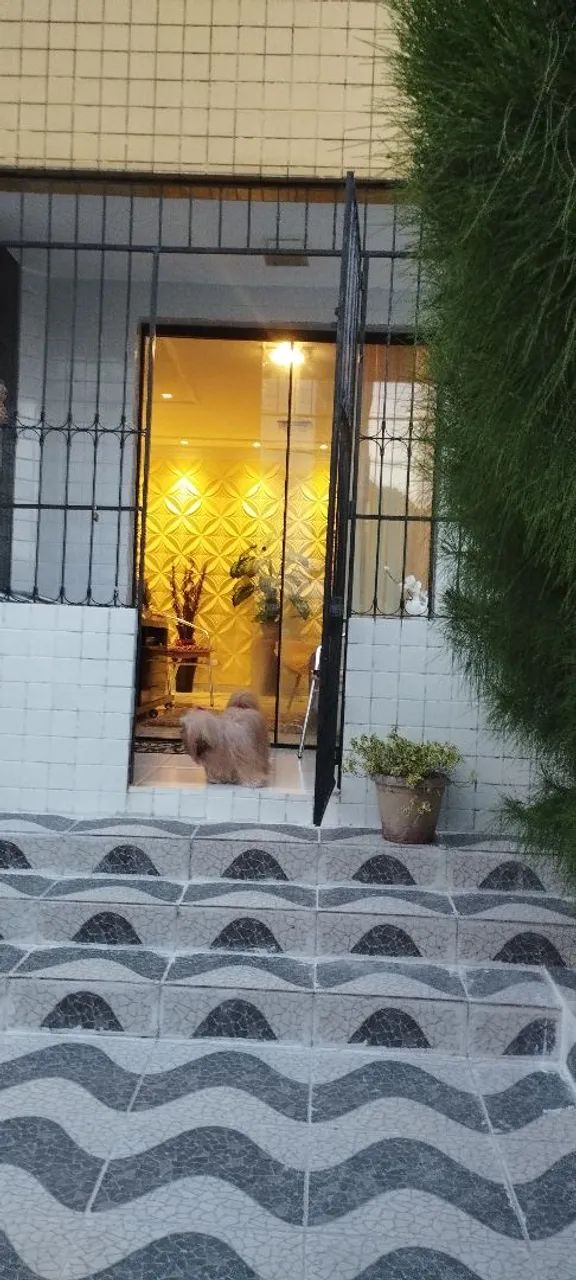 Grade para varanda 64607089124226123