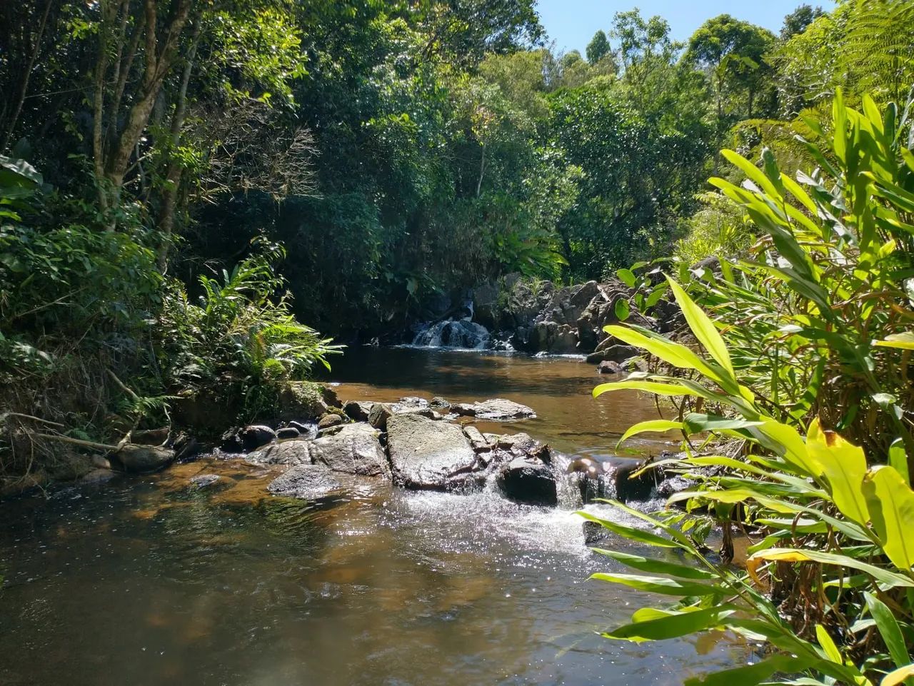 Terreno à venda em Fazenda rio das garças