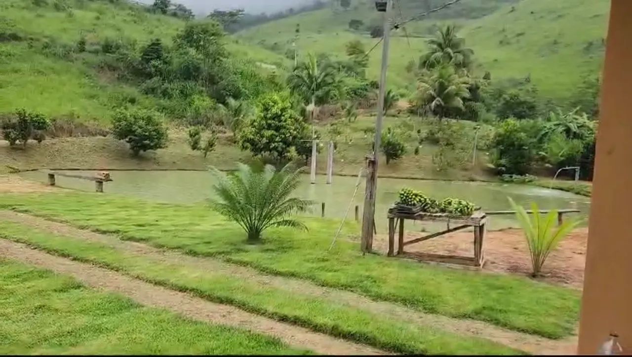 Fazenda com 3 lagoas, 8 nascentes de água, casa e área verde - Foto 2
