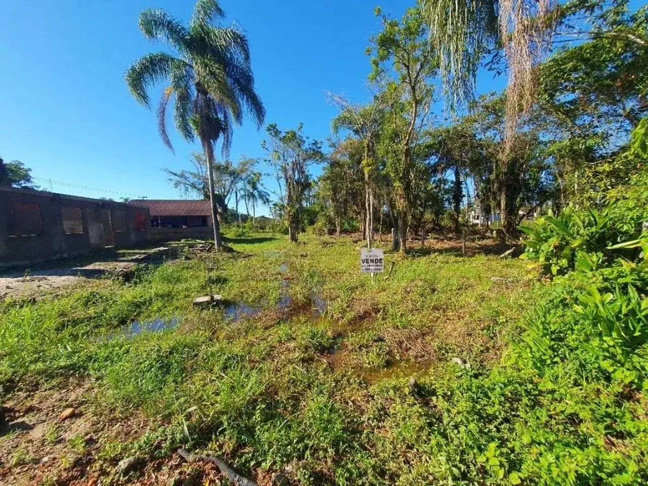 Lote / Terreno em Itapoá/SC no Sai Mirim - Foto 3