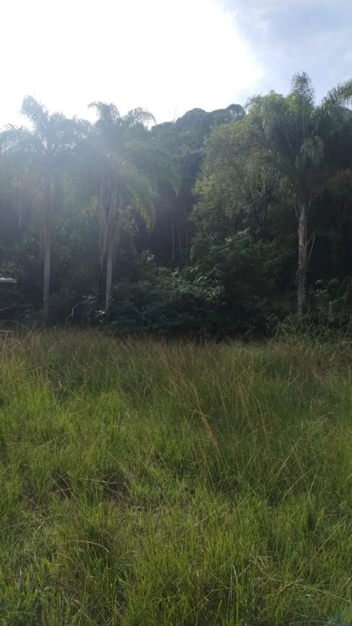 Oportunidade.Terreno (16.000 m²); preço R$ 1.000.000,00 (um milhão). Estuda-se proposta. - Foto 11