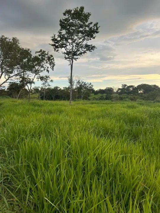 Vendo Fazenda 34.5 alqueires aceito imóveis em Palmas - Foto 6