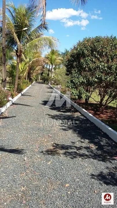 Chacara (chacara) 3 dormitórios/suite, cozinha planejada - Foto 5