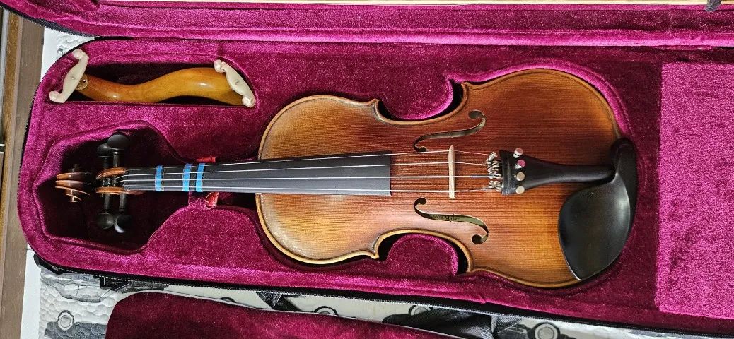 Violino Profissional Brescia