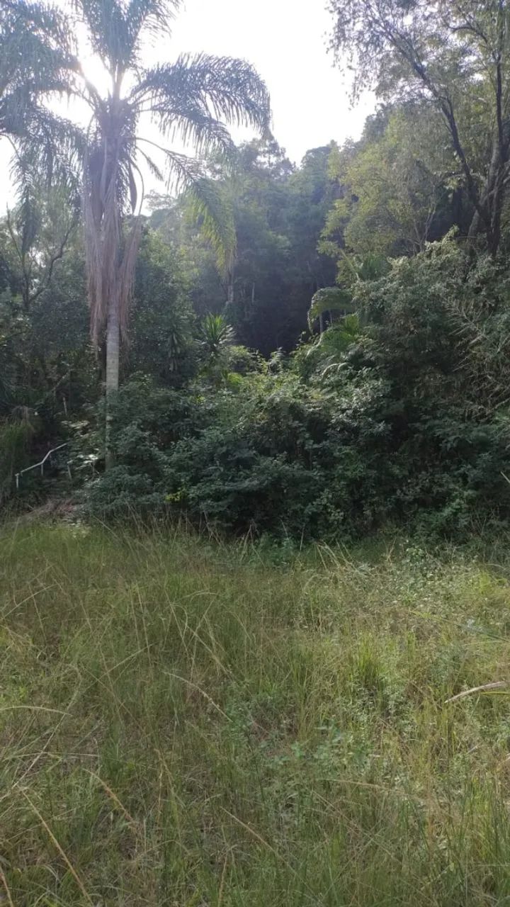 Oportunidade.Terreno (16.000 m²); preço R$ 1.000.000,00 (um milhão). Estuda-se proposta. - Foto 10