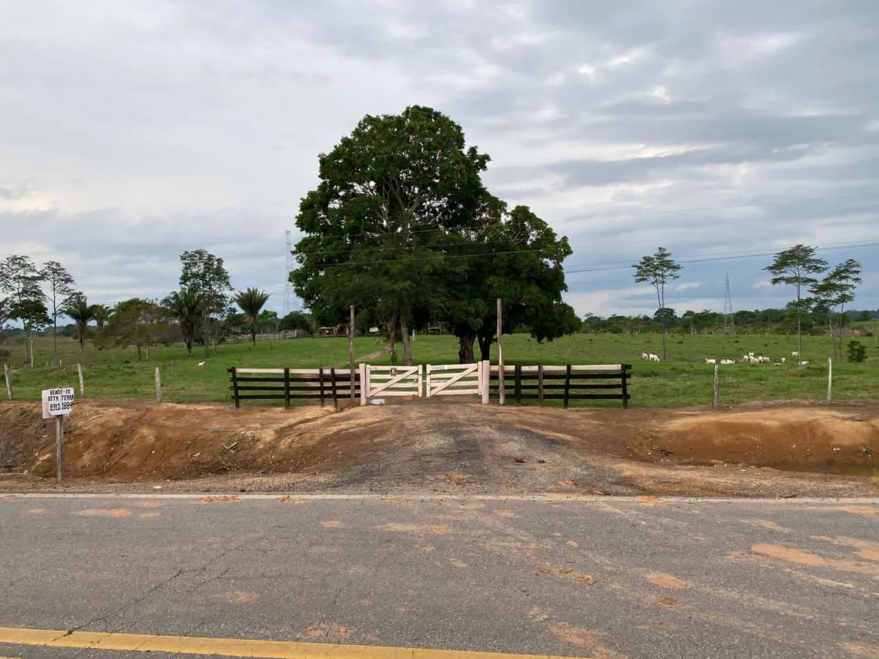 Vende uma terra 50hectares na Br 364  sentido sena madureira na beira do asfalto  - Foto 2