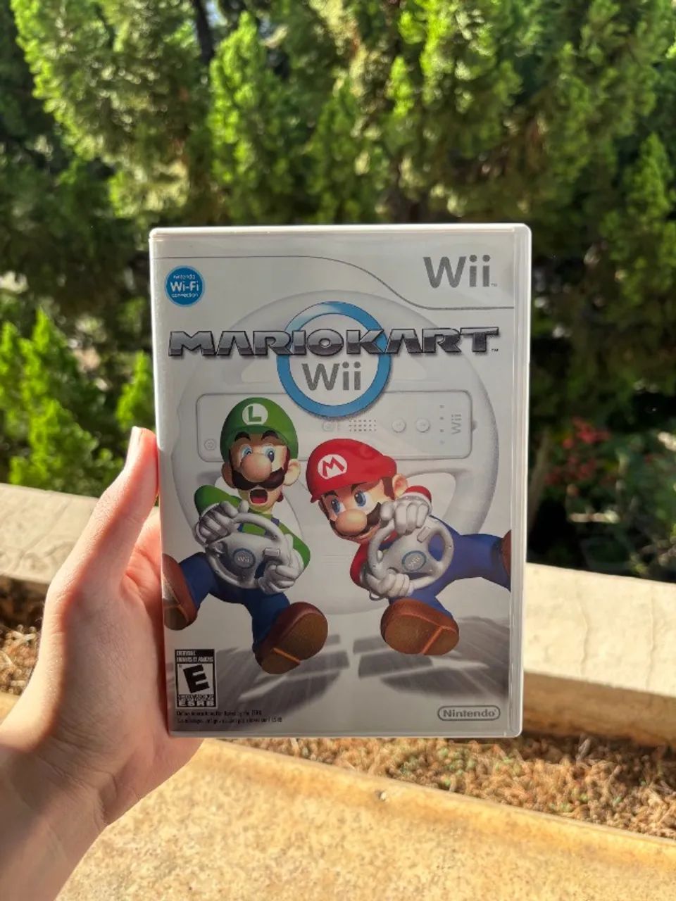 Mario Kart Wii