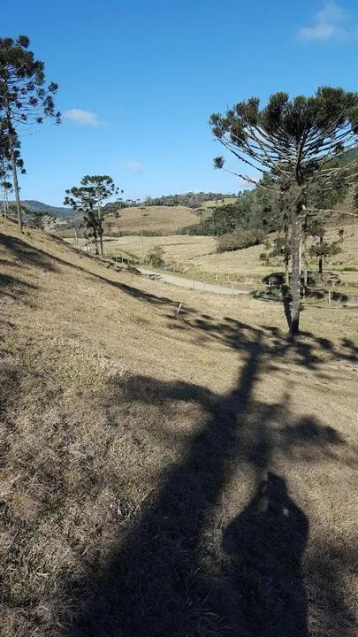 Rancho Queimado Terreno com vista espetacular para a natureza - Foto 3