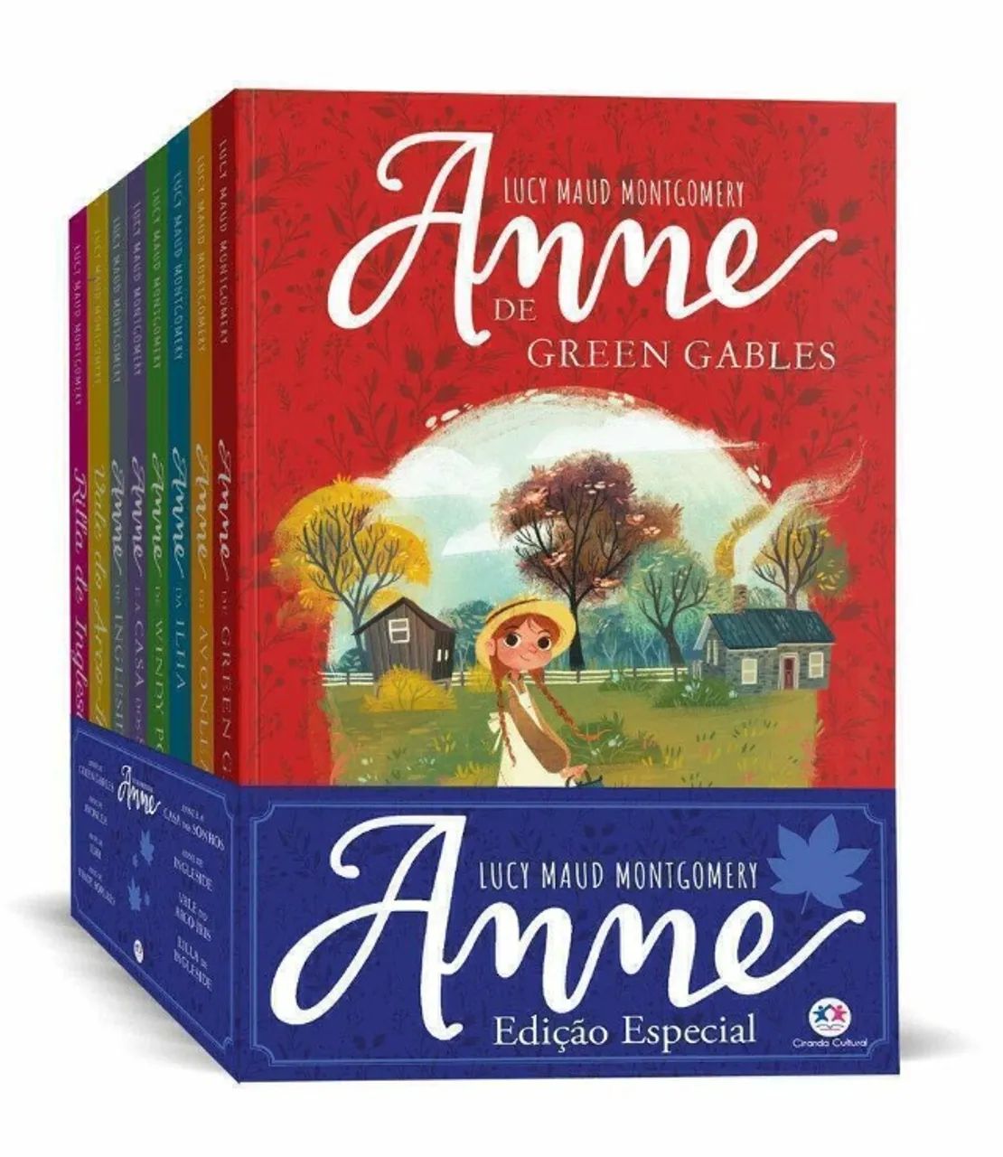 Box de livro da Anne - Foto 2