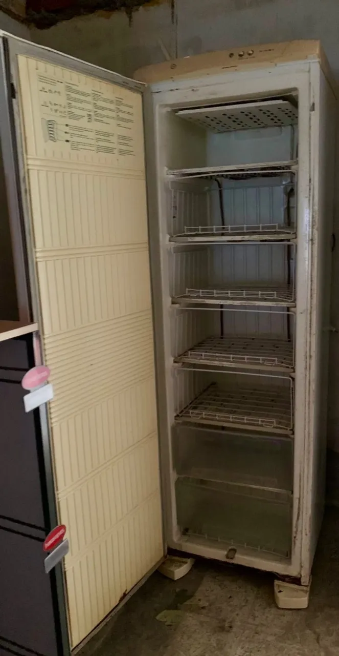 Freezer vertical