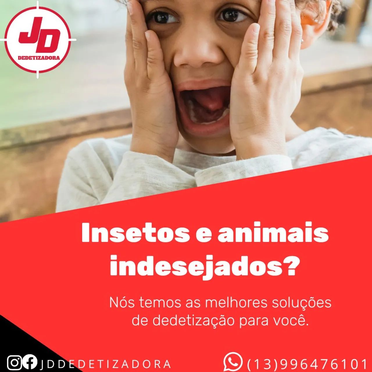 Dedetização em geral - Foto 4