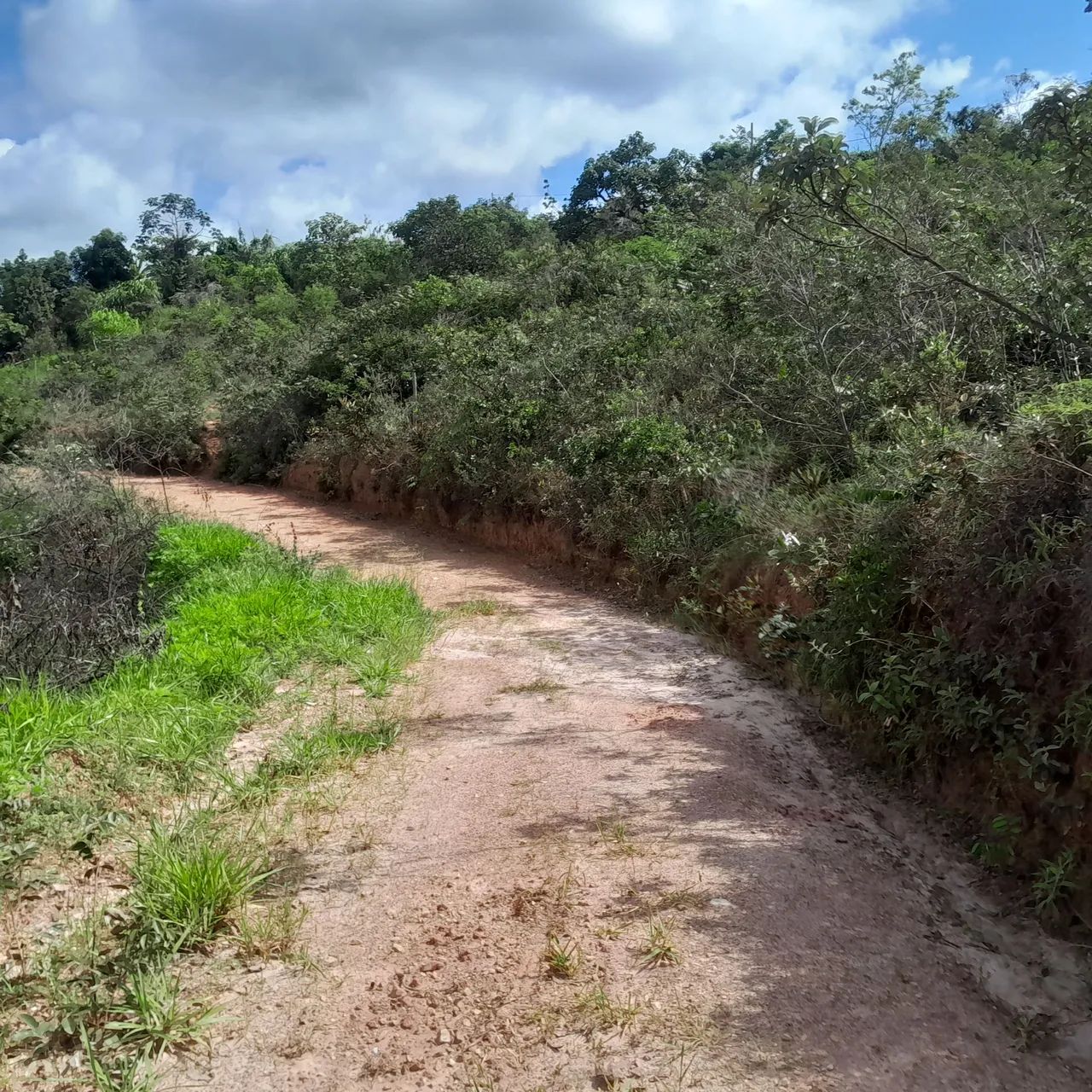 Terreno com vista espetacular em área verde - Foto 3