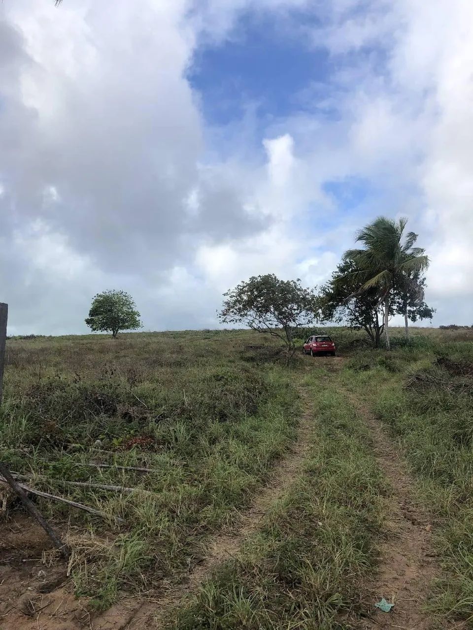Área incrível nas proximidades da Praia da Pipa 9 hectares - Foto 2