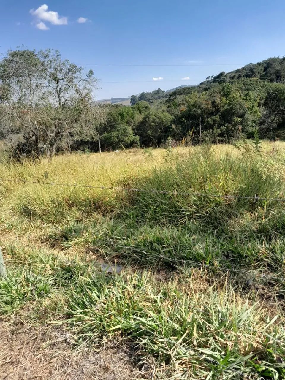 LOTE BEIRA ASFALTO - Foto 3