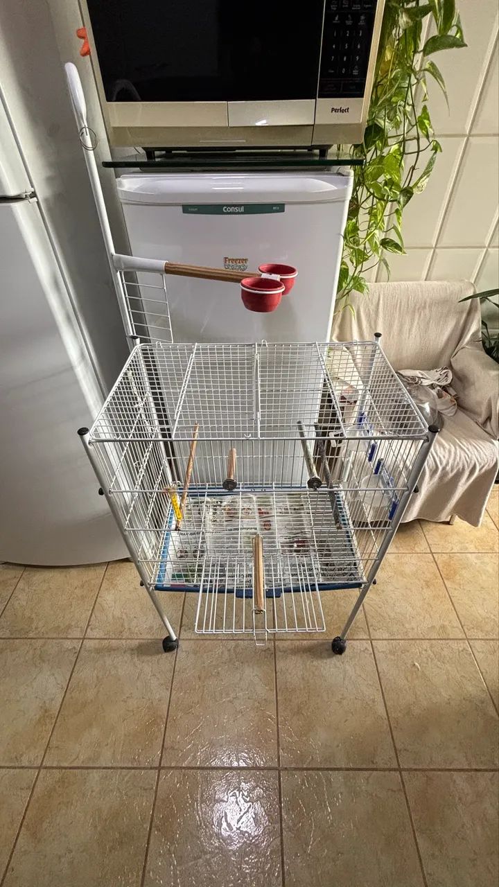 Gaiola para pássaros  - Foto 4