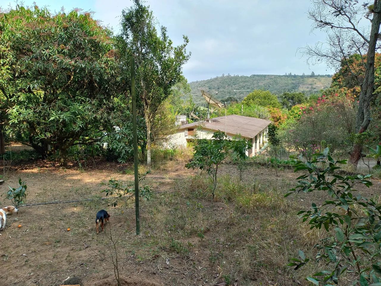 Vendo chácara em Piedade sp - Foto 3