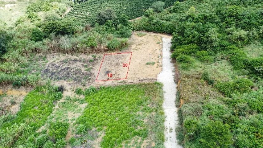 Lote para investimento - Foto 4