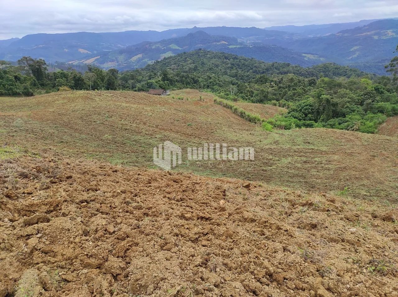 TERRENO PARA EXPLORAÇAO DE PLANTIO - Foto 5