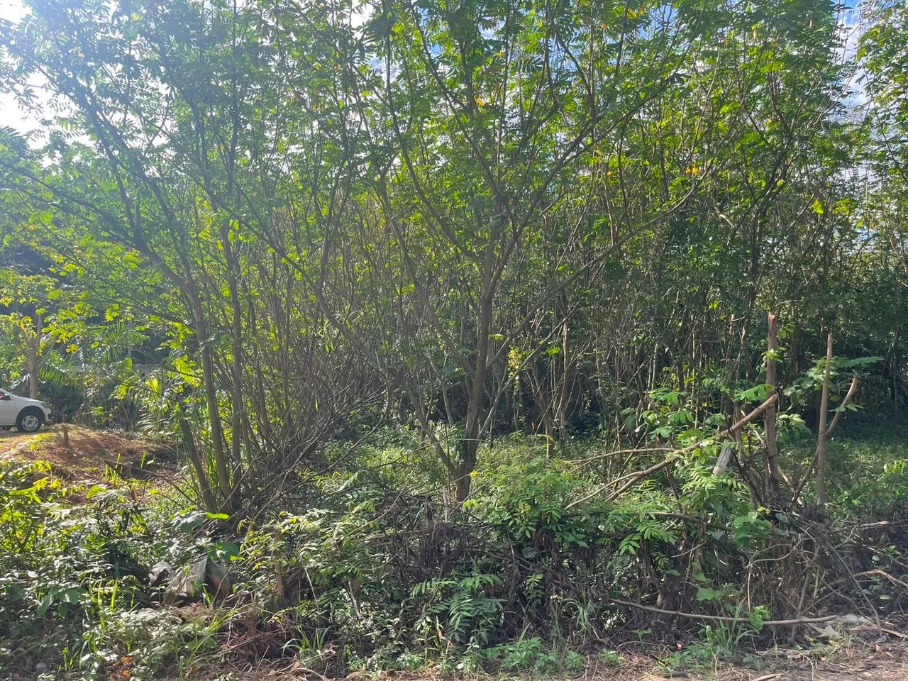 Lote em Moxuara - Foto 2