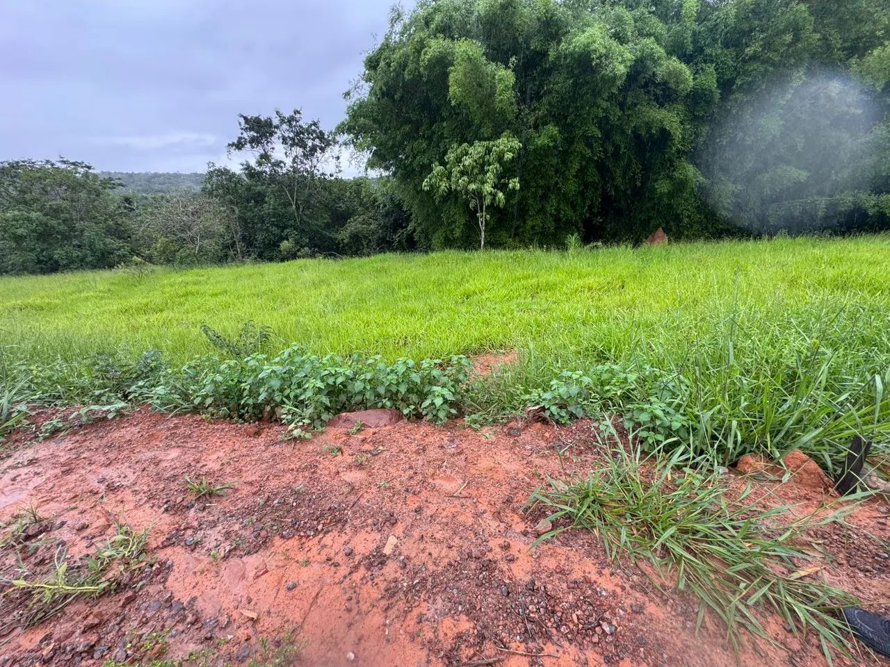 Chacara rural  - Foto 4