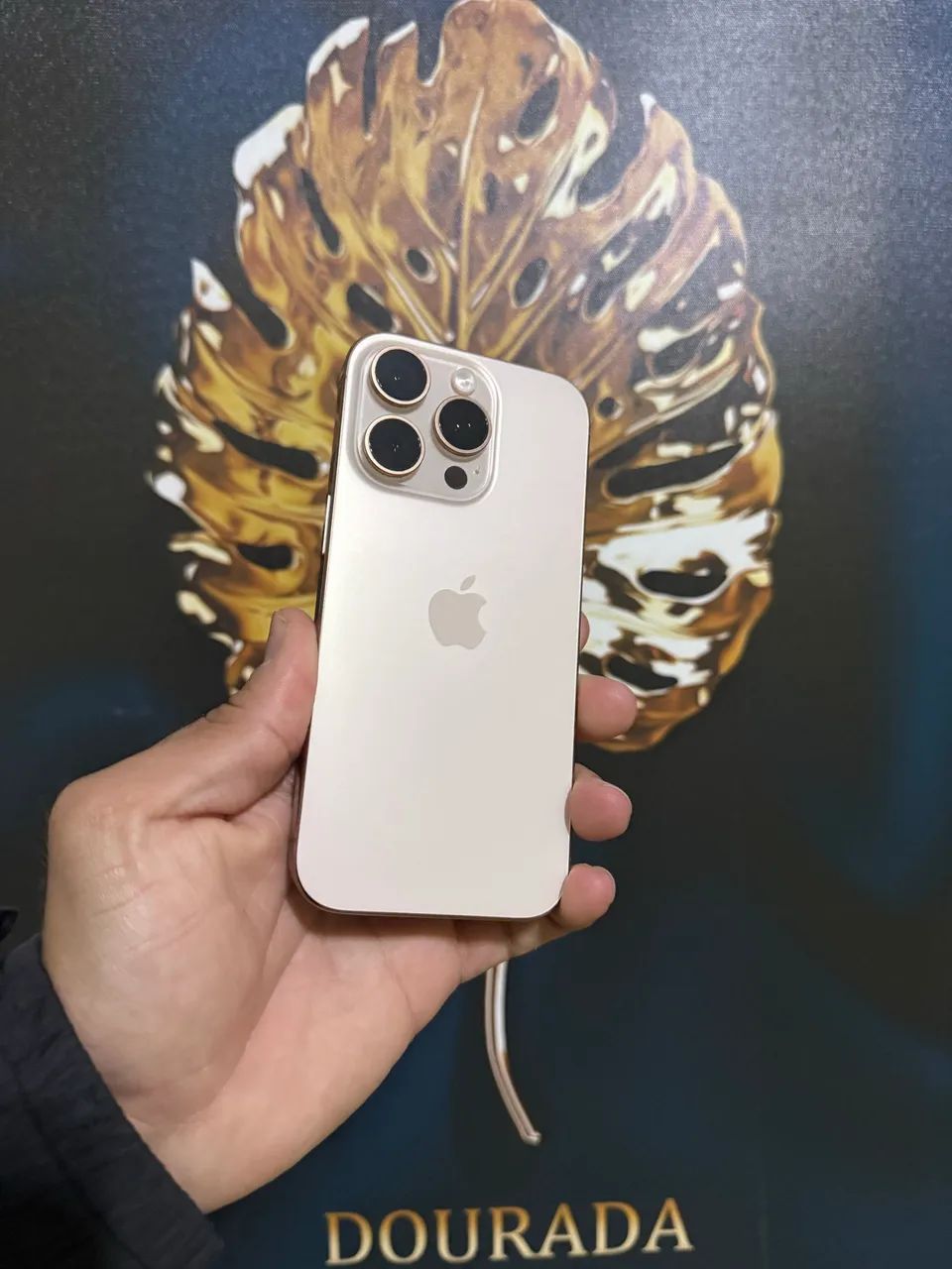 16 ProMax 256Gb IMPECÁVEL 