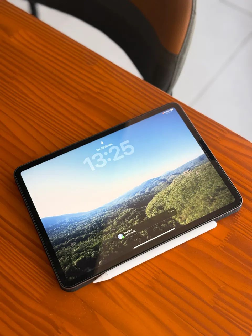 iPad Pro 11 polegadas 