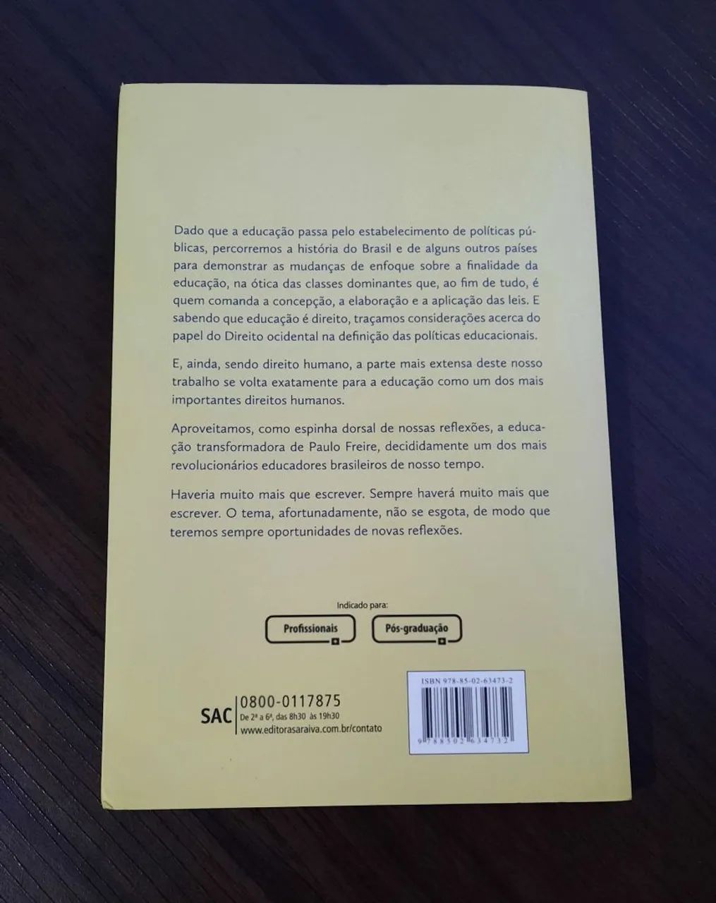 Educação e Direitos Humanos - Ricardo Castilho - Foto 2