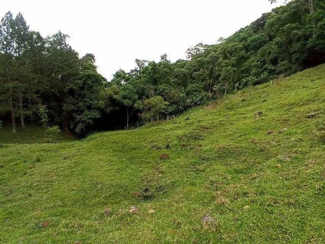 Vendo lindo sitio  - Foto 5