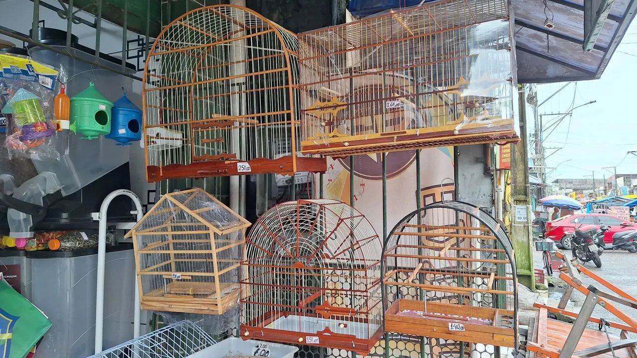 Gaiolas e assessórios 
